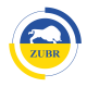 Zubr (Зубр) котли