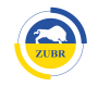 Zubr (Зубр) котли